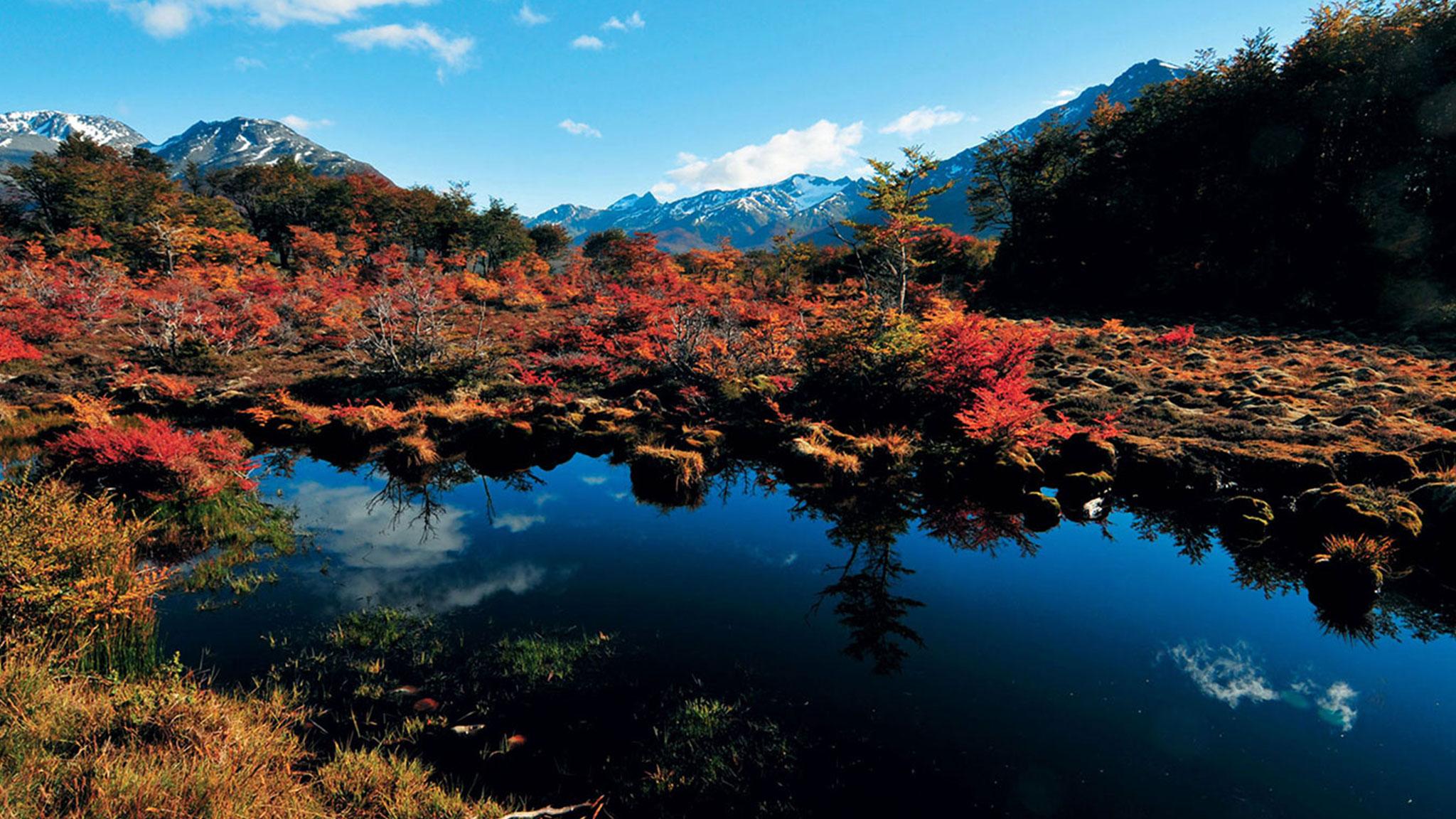 Arakur Ushuaia Resort & Spa Buitenkant foto Autumn colours at the Ozegahara